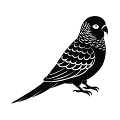 budgerigar parrot silhouette black vector
