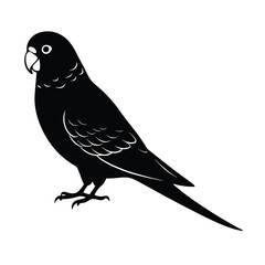 budgerigar parrot silhouette black vector