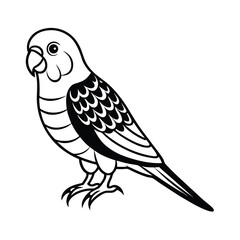 budgerigar parrot silhouette black vector