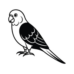 budgerigar parrot silhouette black vector