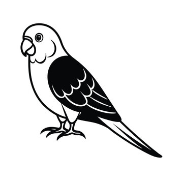 budgerigar parrot silhouette black vector