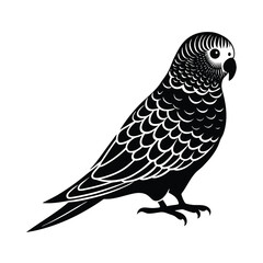 budgerigar parrot silhouette black vector