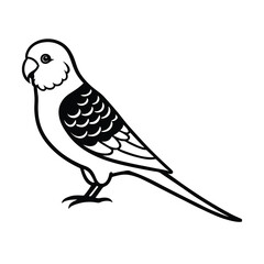 budgerigar parrot silhouette black vector