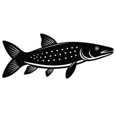 fish on a white background