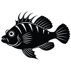 black and white fish