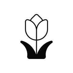 Tulip Vector icon