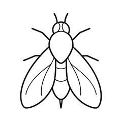 fruit fly outline on white background