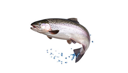 Trout
