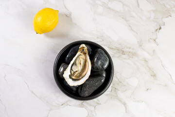 Oyster