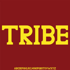 modern unique round sans serif style font vector