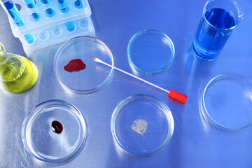 Petri dishes and flasks with samples on table, above view