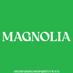 Elegant high contrast serif display font vector