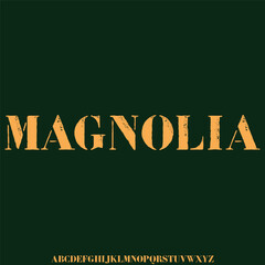 Elegant high contrast serif display font vector