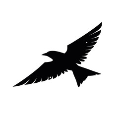 vector illustration of a flying bird