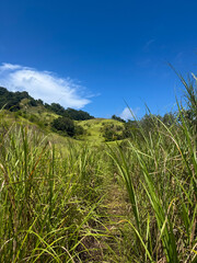Bukit Larata hills in Northern Sulawesi, Indonesia