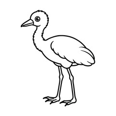 saddle billed stork chick line art vector
