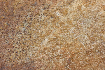 Rustic textures of nature blending together in warm earthy tones on granite stone surface