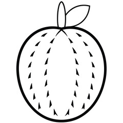 vector illustration of an apple with shadow