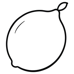 vector illustration of a fruits