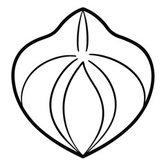 vector illustration of an orange fruit