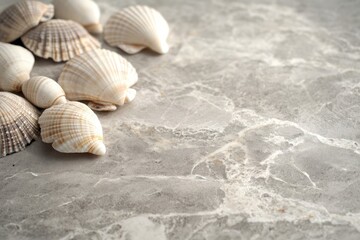 Seashells arranged on a grey marble surface, evoking summer and ocean vibes.