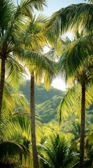 Fototapeta premium Lush tropical palms frame a verdant valley