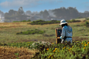 Painting In Solitude