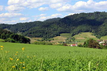 Kirche von Glottertal bei Freiburg zwischen Bergen und Wiesen
