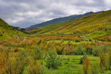 Naklejka premium Green, moist valley, bordered by hills with meadows, at a large sheep farm in New Zealand. Battle Hill Farm, Pauatahanui, Porirua, Greater Wellington, North Island 