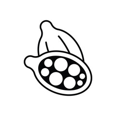 Cardamom Vector icon