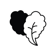 Lettuce Vector icon