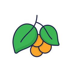 Black Pepper Vector icon