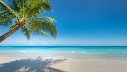 serene beach scene with majestic palm tree framing the horizon against a clear blue sky and gentle ocean waves