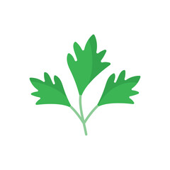 Parsley Vector icon