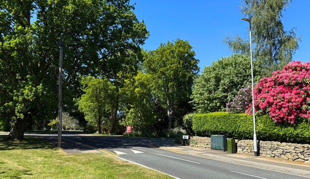 A peaceful sunlit street adorned with lush trees, vibrant pink flowers, and a bordering stone wall. A small traffic sign and street lamps stand under the clear blue sky in, Adel, Leeds, UK