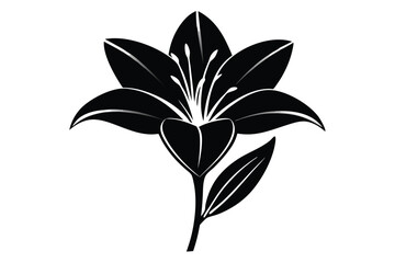 Stylized Black Lily Flower Graphic Bold Design with Detailed Stamen and Stem
