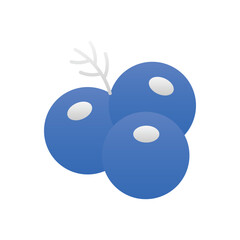 Juniper Vector icon
