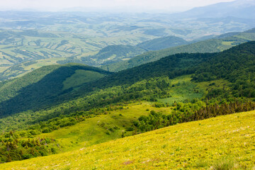 beautiful view in to the valley from the mountain top. forested hillside of watershed ridge in dappled light. sunny weather in summer