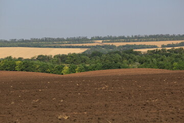 plowed fields of southern Russia on a summer day