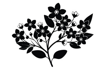 Fototapeta premium Silhouette of Blossoming Dogwood Branch with Flowers and Buds in Black Ink Style