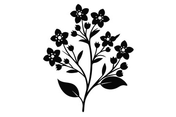 Black Silhouette of a Flowering Plant with Buds and Leaves Isolated