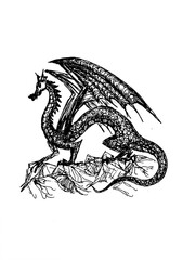 Black and white drawing: dragon with wings stands on a rock