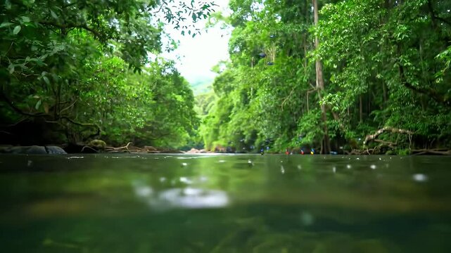 Scenic River with Butterflies Gracefully Flying Above the Water