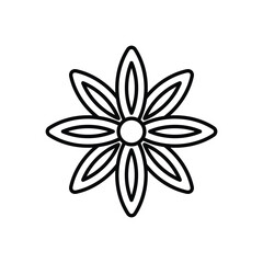 Star Anise Vector icon