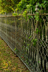 Old wrought iron fence with Spanish moss