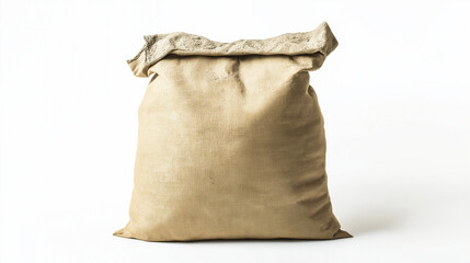 Obraz premium A cement bag isolated on a white background, displaying its sealed packaging, industrial labeling, and powder-filled form used in construction. 