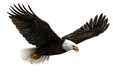 Fototapeta premium Bald Eagle Flying Isolated on Transparent Background isolated on transparent background
