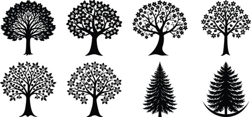 collection of trees white background