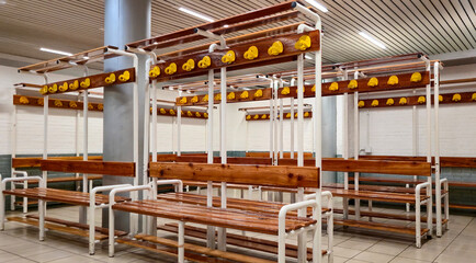 Modern locker room with wooden benches and bright yellow helmet hooks, creating a clean and organized sports facility environment, shot in Roman pool. Rome, Italy, May 2, 2025