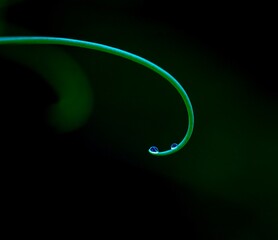 abstract green background